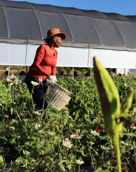 Agribusiness2